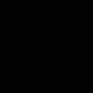 Meet your Posher, Micah